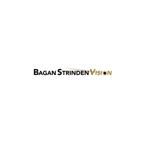 Bagan Strinden Vision logo
