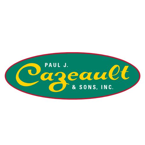 Cable Ties Plus logo