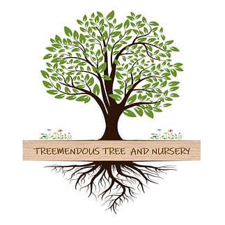 Treemendous Tree Incorporation Nursery Trimming Services logo