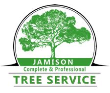 Jamison Tree Shaping and Trimming Services in Englewood, Florida logo