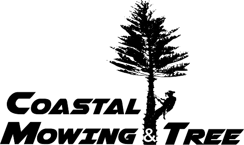 Coastal Mowing & Tree Service Port Charlotte logo