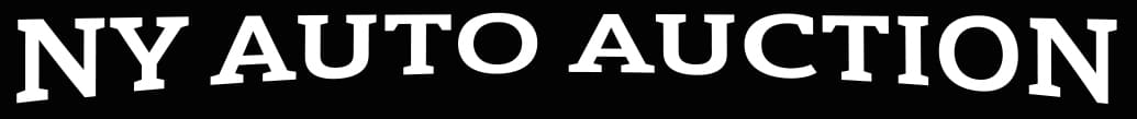 Ny Auto Auction Used Car Dealer in New York City logo