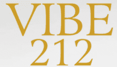 Vibe 212 Lingerie Store Shopping Collection in New York City logo