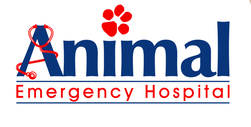Animal Emergency Hospital Reviews logo