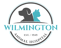 Wilmington Animal Hospital Reviews logo